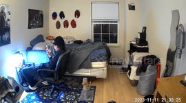 Kitten Full Of Chaos