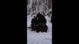 Tom the bear has cute sitdown with his trainer Pavel