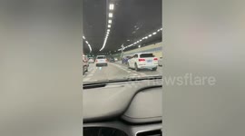 Escaped ostrich runs through motorway tunnel in China