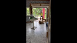 Monitor lizard sparks panic when it runs through company office