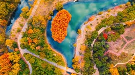 Chinese forest transforms into colour palette of autumn bliss