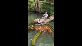 Woman feeding koi fish slips into pond in Indonesia