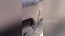 Stray cat drops from car engine while being rescued