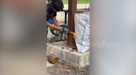 Worker grinds hole on metal pillar to save bird trapped inside