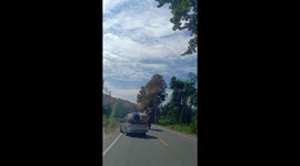 Hungry wild elephant chases pickup truck to look for food