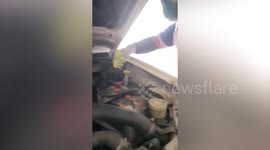 Snake catchers drag python out of car engine compartment