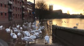 Brits face the risk of localised flooding with the weather turning more unsettled from the middle of the week