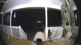 Dog Gets A Free Rollercoaster Ride Down The Stairs
