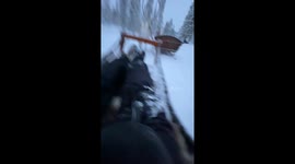 Reindeer Run Away While Towing Humans