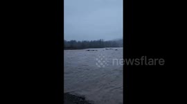 US: Atmospheric River Brings Widespread Flooding To Western Washington 3