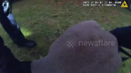 Escaped kangaroo captured by police in Durham, UK