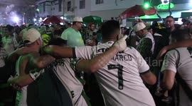 Fans line Sao Paulo streets as Palmeiras clinch Brazilian title