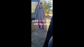 Woman egregiously scared of spiders gets pranked with a fake one