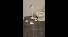 Clara Creates Her Own Confetti