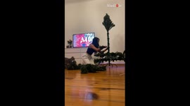 Cat gives her owner a hard time when she sets up the Christmas Tree