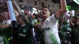 Palmeiras fans react as their team is set to win the Brazilian Football league in Sao Paulo, Brazil