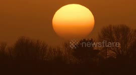 Magnificent orange globe winter sunset silhouetted by bare trees over West Country Britain, Nansledan, Cornwall UK