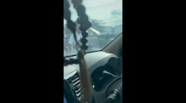 Kind driver rescues fish stranded on motorway and puts it in canal