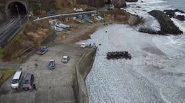 Tons Of Dead Fish Blanket Coast In Hokkaido Japan