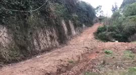 Downhill mountain biker crashes and flies over handlebars