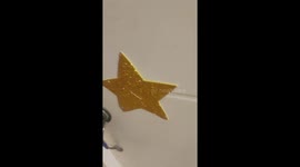 Curious cats cause Christmas chaos: tree tumble & ornament fun!