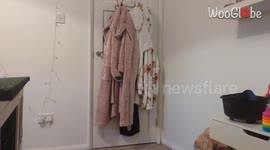 Girl understands what it feels like to be on top of the world after getting her lifelong wish fulfilled