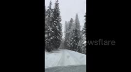 Canada: Significant Winter Storm Brings Heavy Snowfall To Southern Alberta