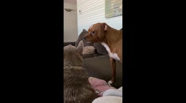 Par Sings To Penny