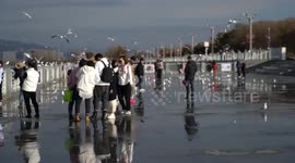 World Media Summit attendees explore charm of China's