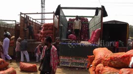 Indian gov't bans onion exports
