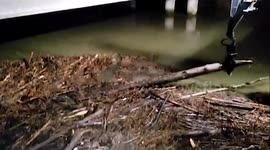 Successful Debris Removal on EB US 2 in Washington State, USA