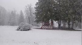 First Snow Fall Of Winter Hits Surrey, BC, Canada