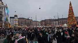Pro Palestine demonstration in Copenhagen, Denmark on 10 December 2023