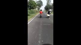 Bird Takes a Liking to Motor Biker