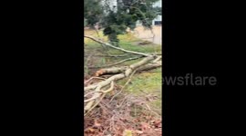 US: Significant Damage Left By EF-1 Tornado In Garner, North Carolina