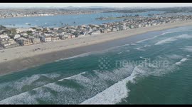 Dead  Fin Whale Washes up in a beach  in San Diego California Dec 10 2023