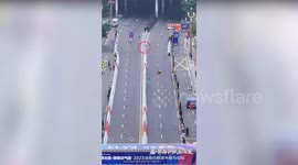 Cat joins marathon and beats 1st place runner