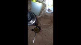 Massive nighttime mosquito swarms: Villa Constitución's challenging fishing expedition