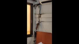 A mouse risk her life to shift her baby to safer place.