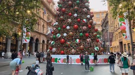 Giant Christmas tree set up in Sydney