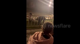 Black bear in Chinese circus suddenly attacks and bites staff member during performance