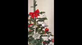 Gift shop makes mini-Christmas trees from banknotes