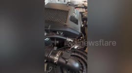 Carwash worker extracts black cat stuck inside car's front bumper