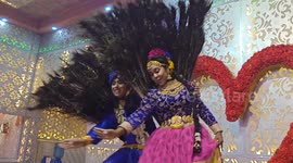 The Artist permofamace a beautiful peacock dance on occasion for Indian wedding