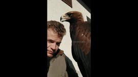 Golden Eagle barber