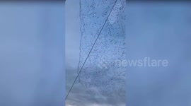 Mysterious bird formation sparks fears of oncoming earthquake in China