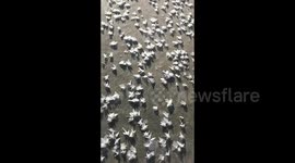 Breathtaking ice crystals appear on frozen river in northern China