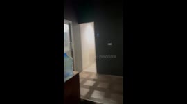 Huge wild bear smashes window to steal food from table