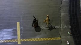 Chinese Students Use Drone to Rescue Injured Wild Muntjac from Stray Dogs