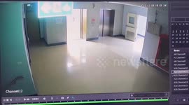 Jailhouse c*ck! Thai prisoner escapes after penis enlargement surgery